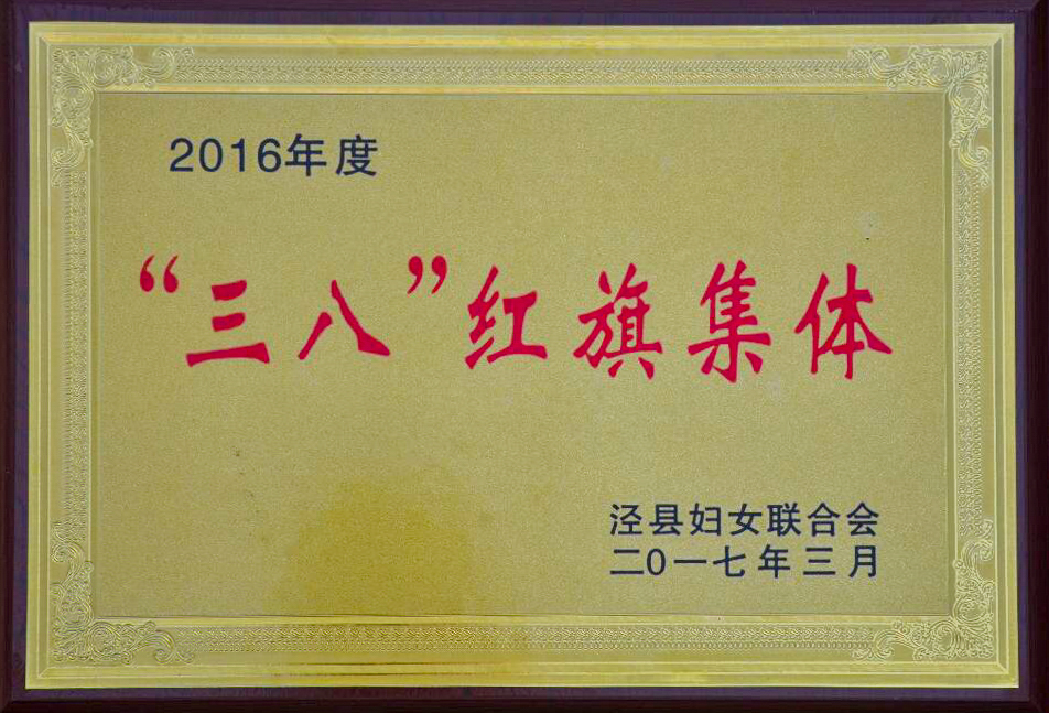 2016年度&ldquo;三八&rdquo;红旗集体