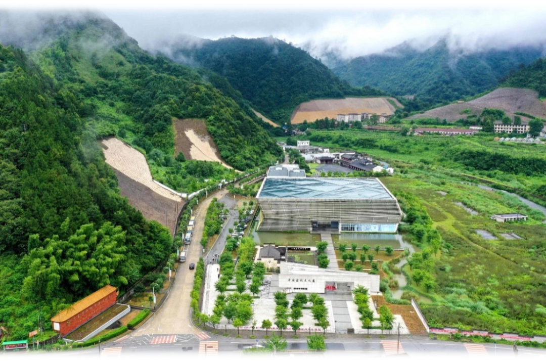 威廉希尔williamhill文化园